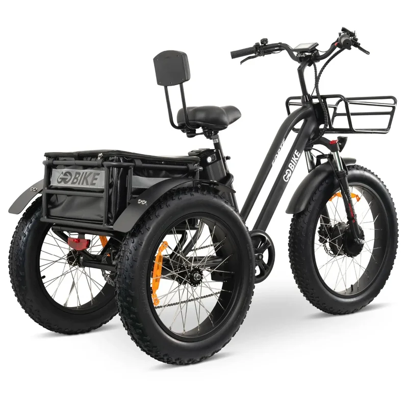 FORTE Electric Tricycle by ElectricGOBIKE
