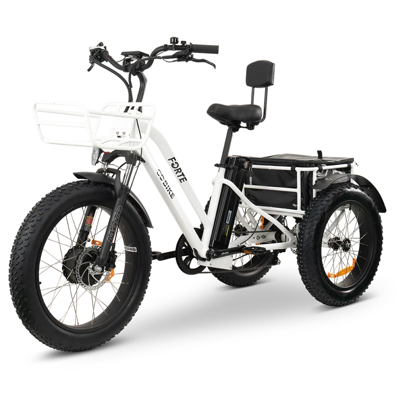 FORTE Electric Tricycle by ElectricGOBIKE