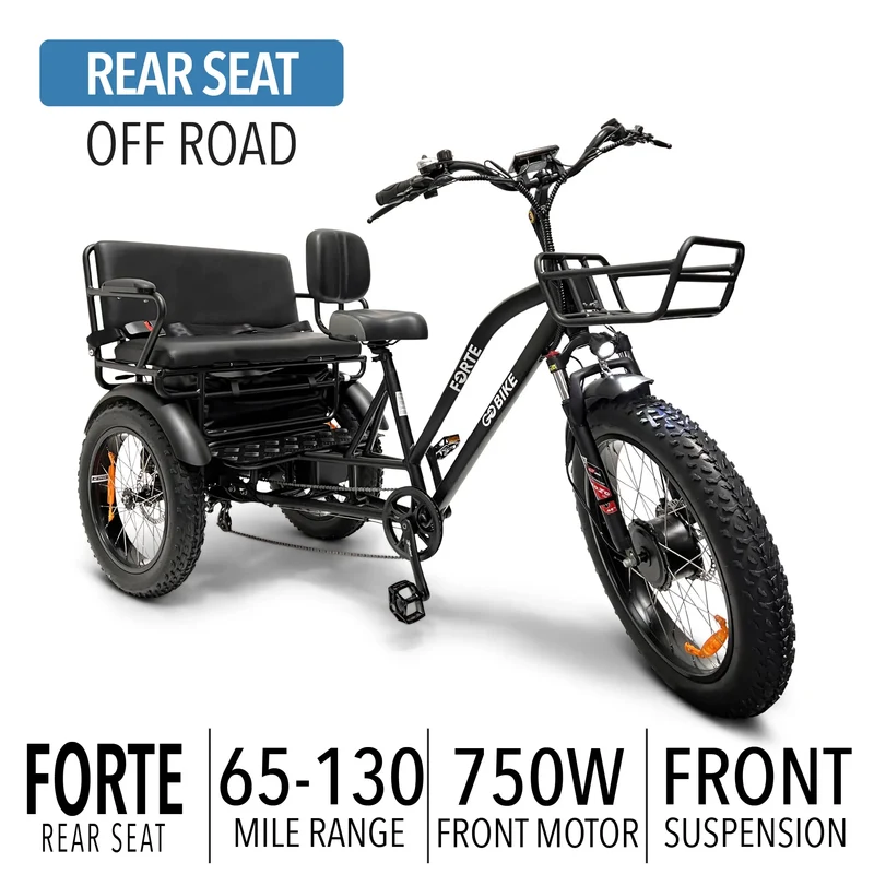 FORTE Electric Tricycle with Rear Seat by ElectricGOBIKE