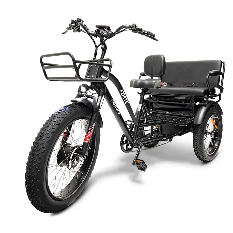 FORTE Electric Tricycle with Rear Seat by ElectricGOBIKE