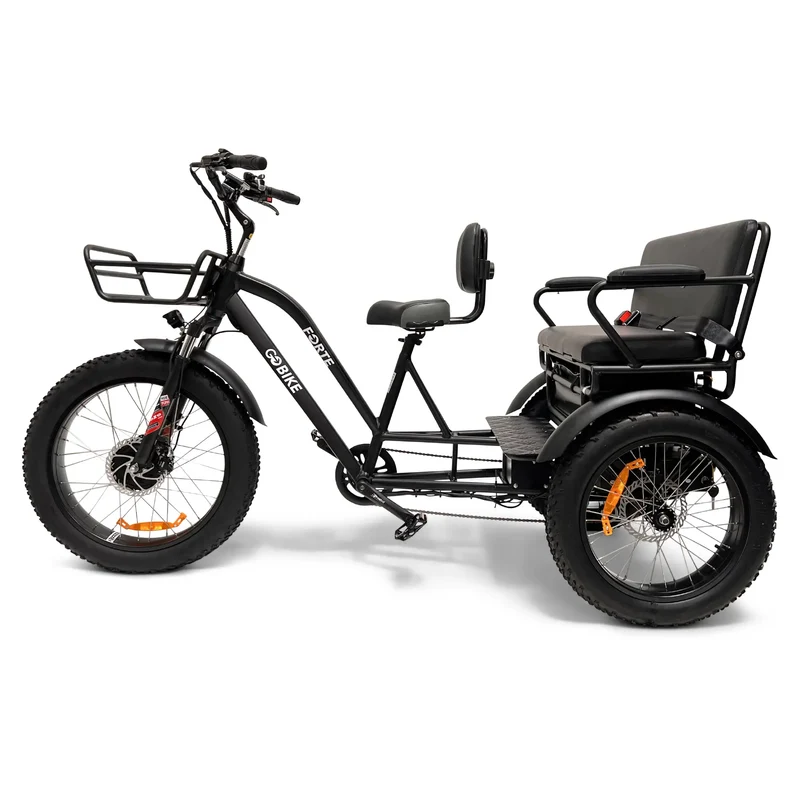 FORTE Electric Tricycle with Rear Seat by ElectricGOBIKE