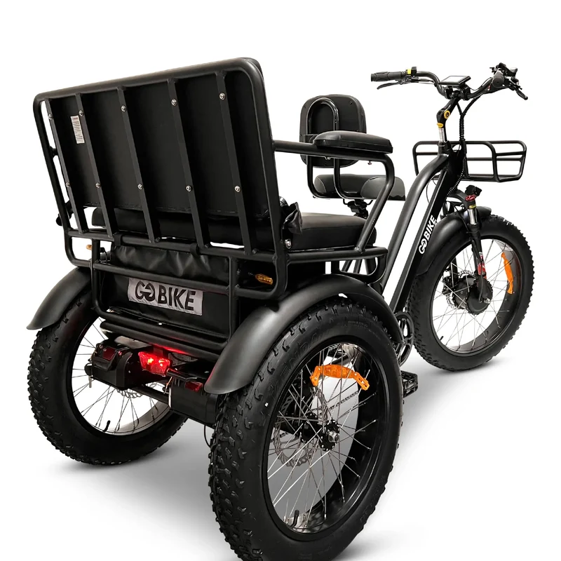 FORTE Electric Tricycle with Rear Seat by ElectricGOBIKE