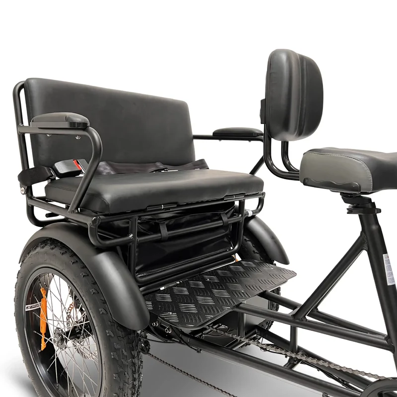FORTE Electric Tricycle with Rear Seat by ElectricGOBIKE