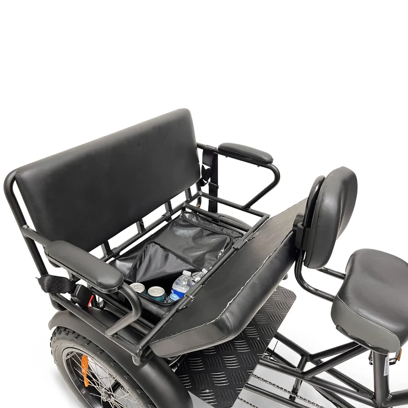 FORTE Electric Tricycle with Rear Seat by ElectricGOBIKE