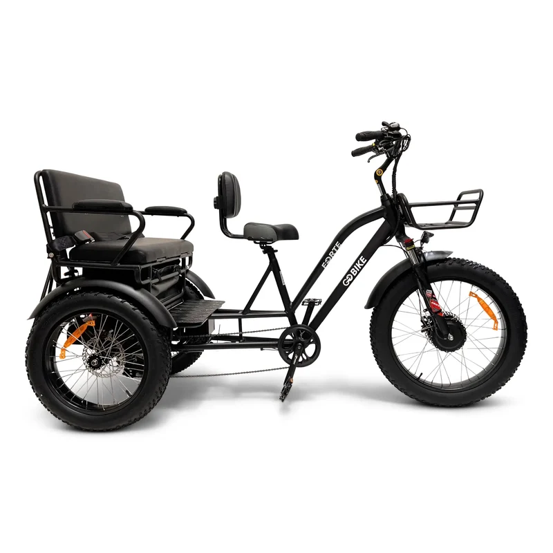 FORTE Electric Tricycle with Rear Seat by ElectricGOBIKE