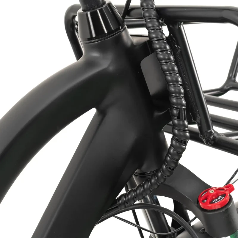 FORTE Electric Tricycle with Rear Seat by ElectricGOBIKE