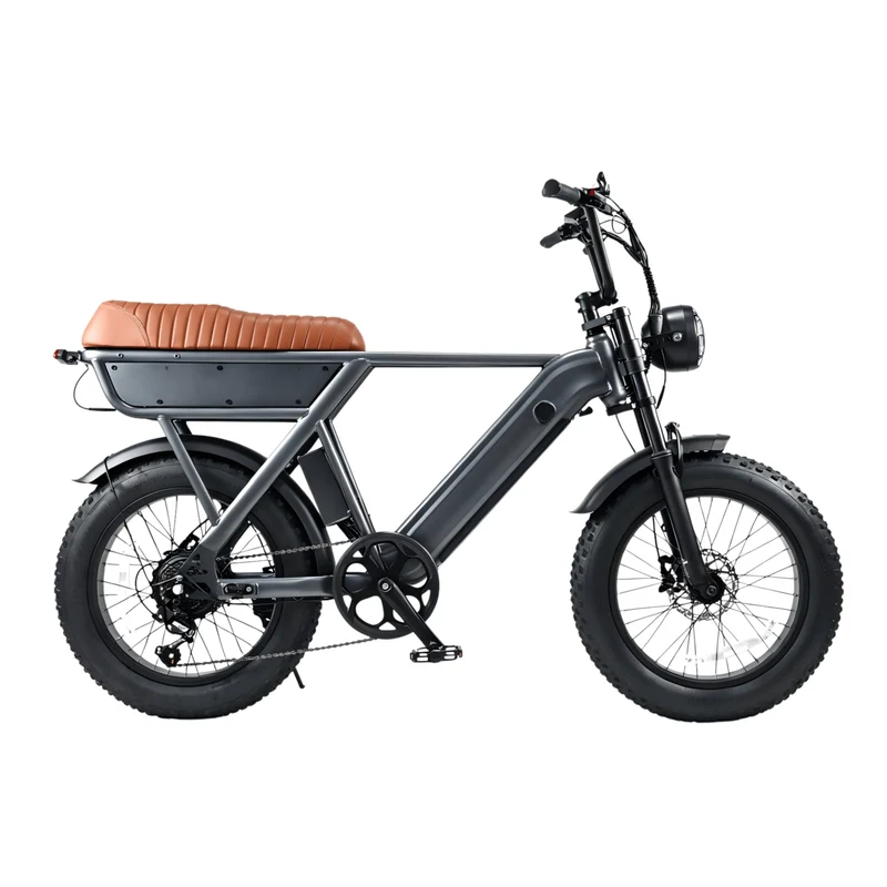 YANGOR Y20