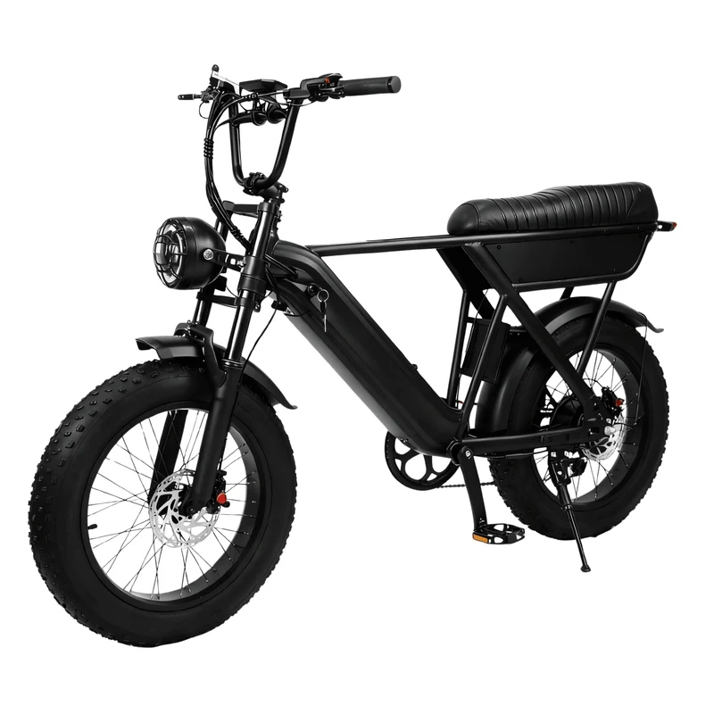 YANGOR Y20