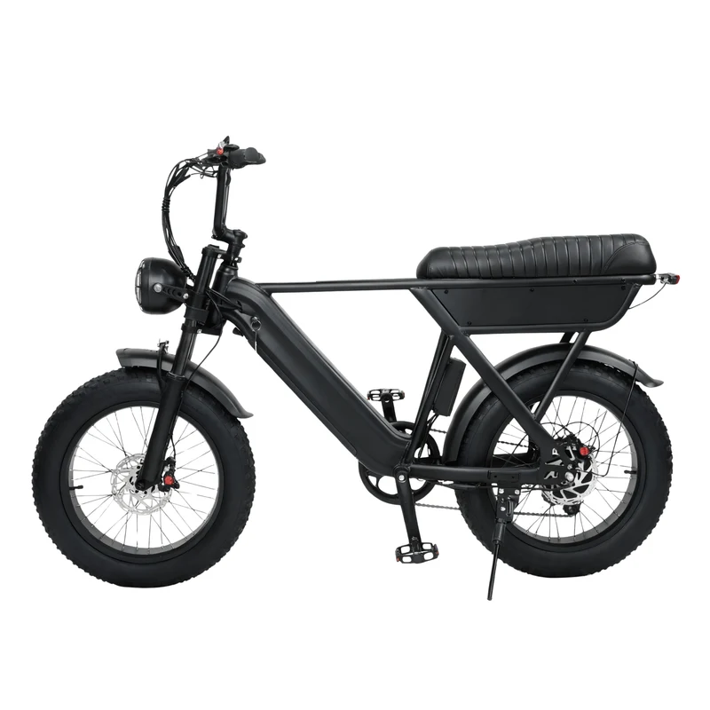 YANGOR Y20