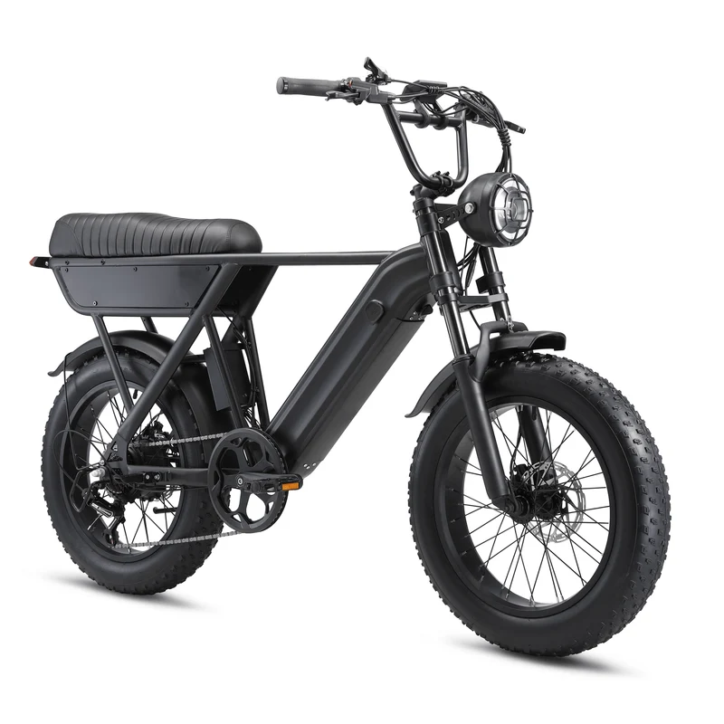 YANGOR Y20
