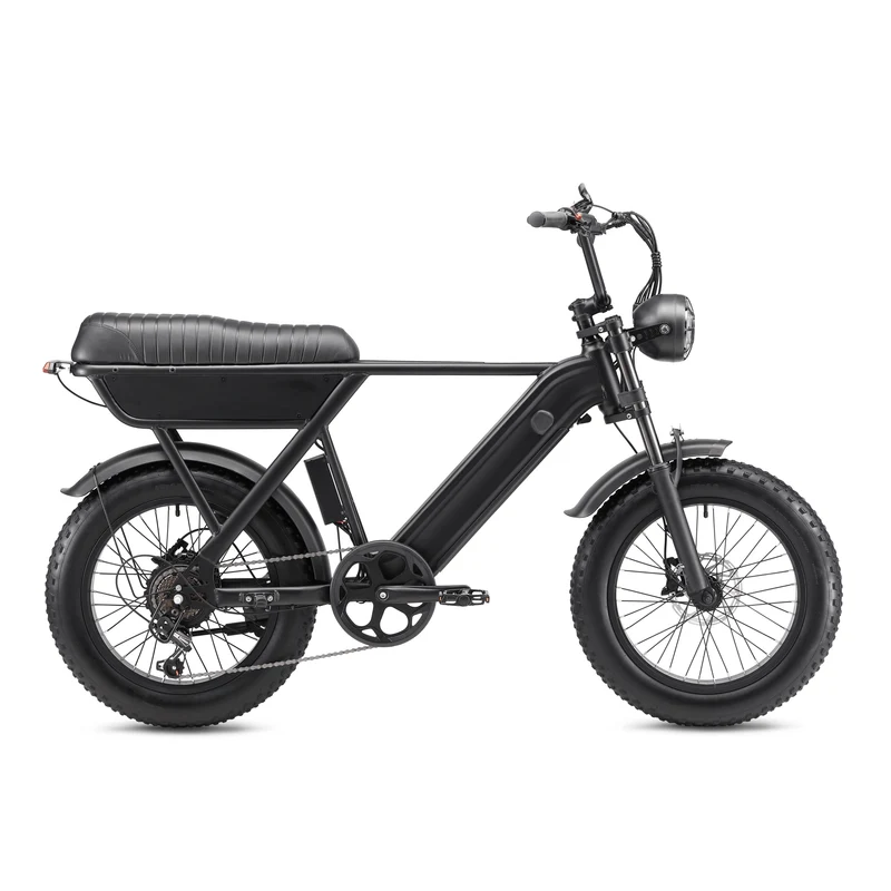 YANGOR Y20