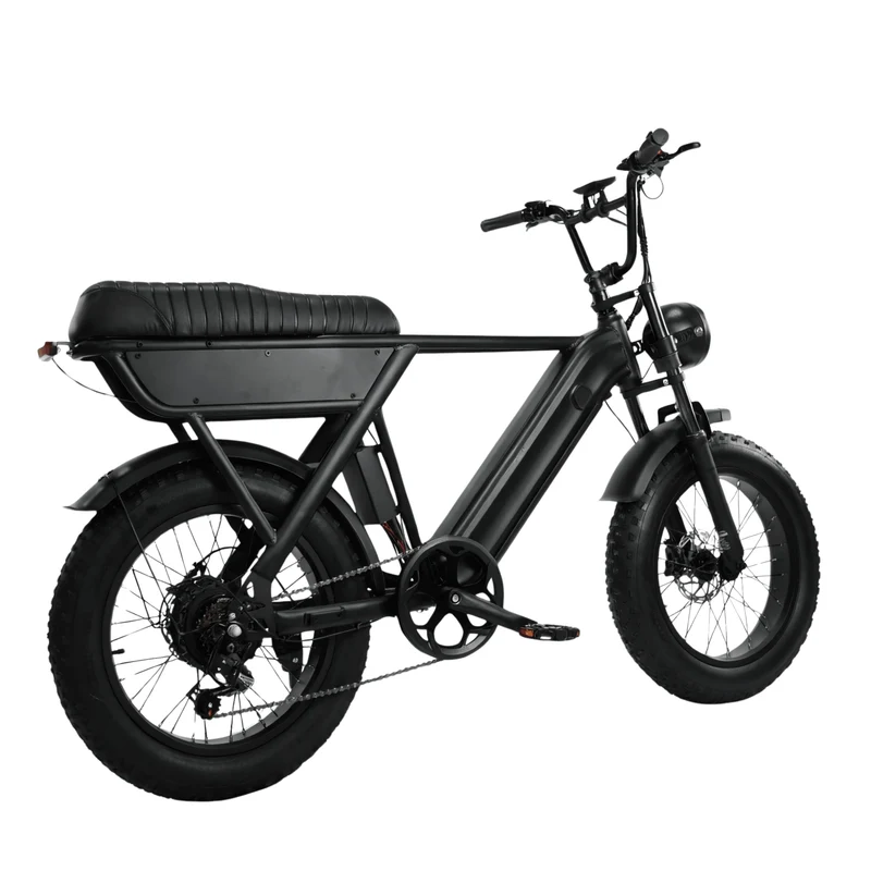 YANGOR Y20