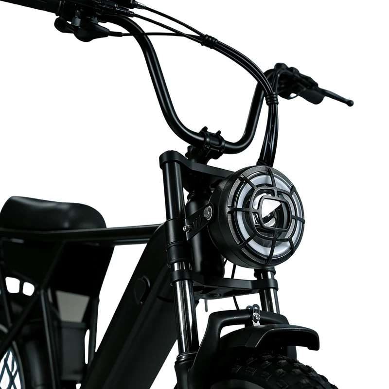 YANGOR Y20