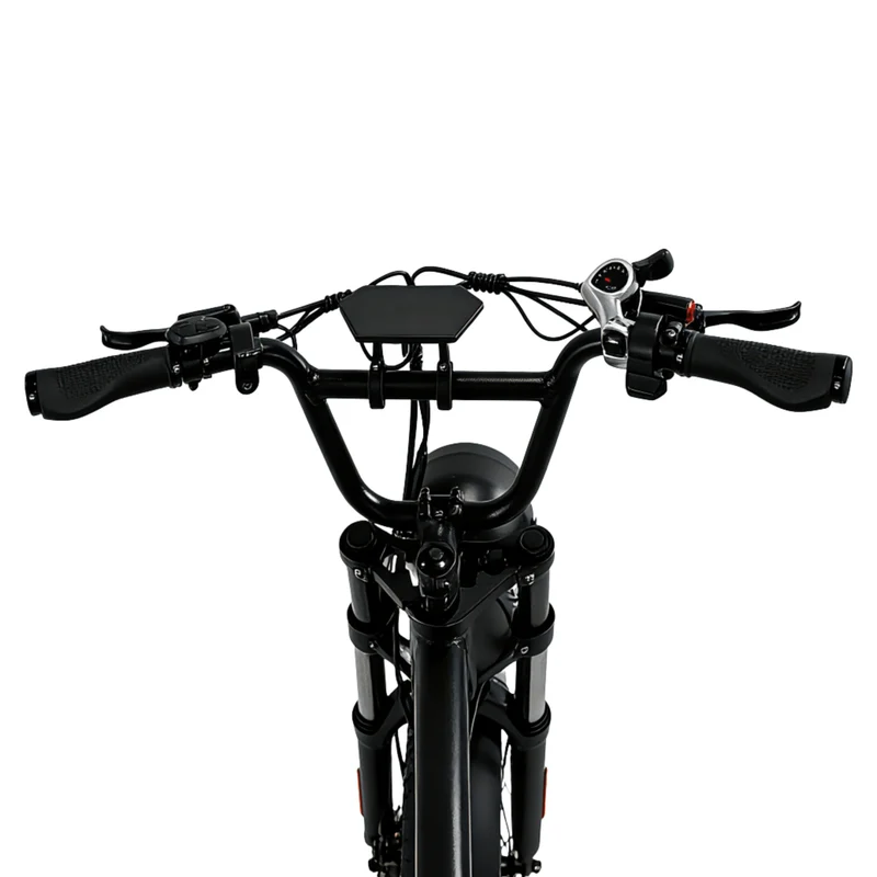 YANGOR Y20