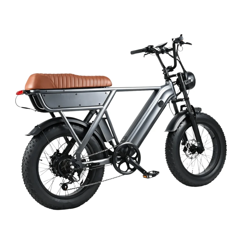 YANGOR Y20