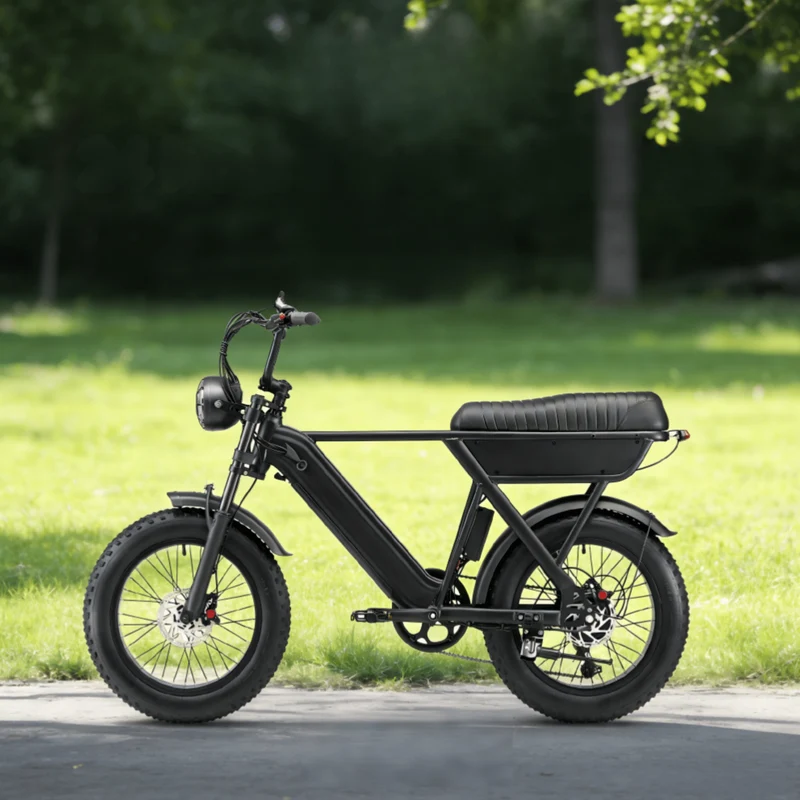 YANGOR Y20