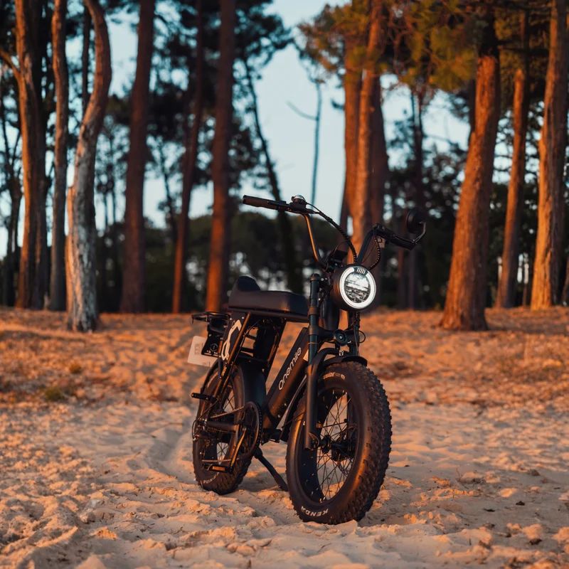 Onemile P40 Pro