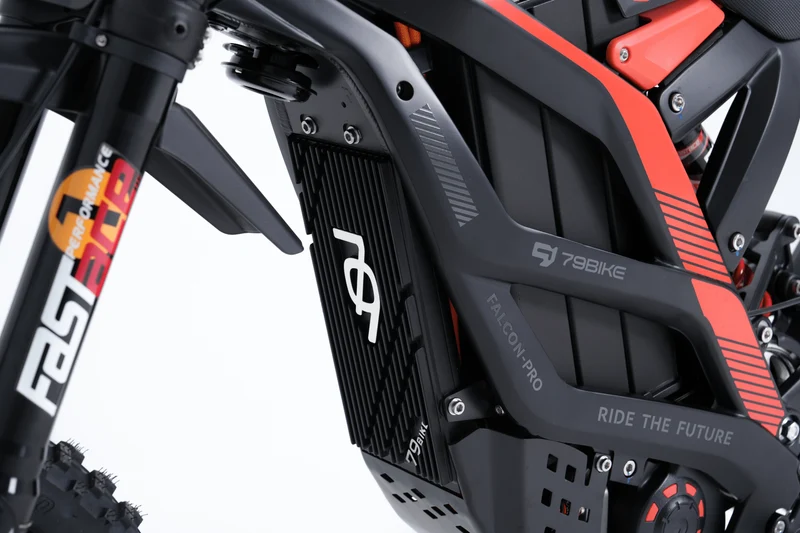 79BIKE Falcon Pro RL