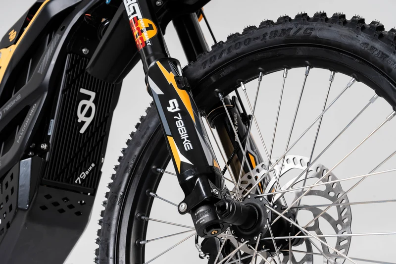 79BIKE Falcon Pro RL