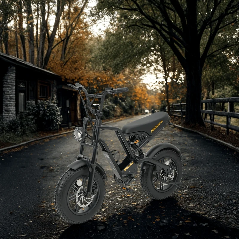 Hidoes B6 Mini