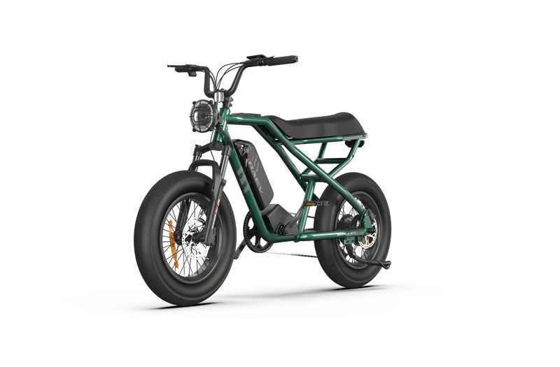 RAEV Bullet X /XF V2 Electric Bicycle