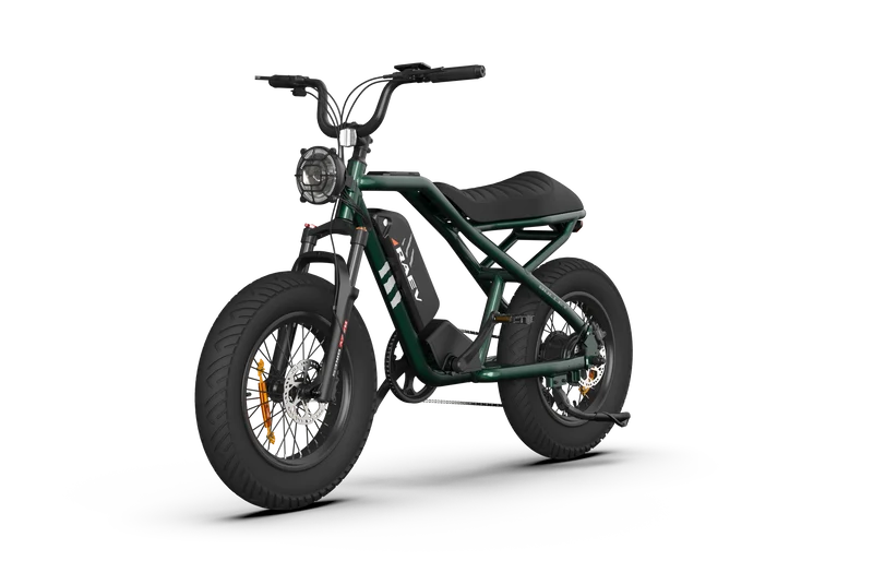 RAEV Bullet V2 Electric Bicycle