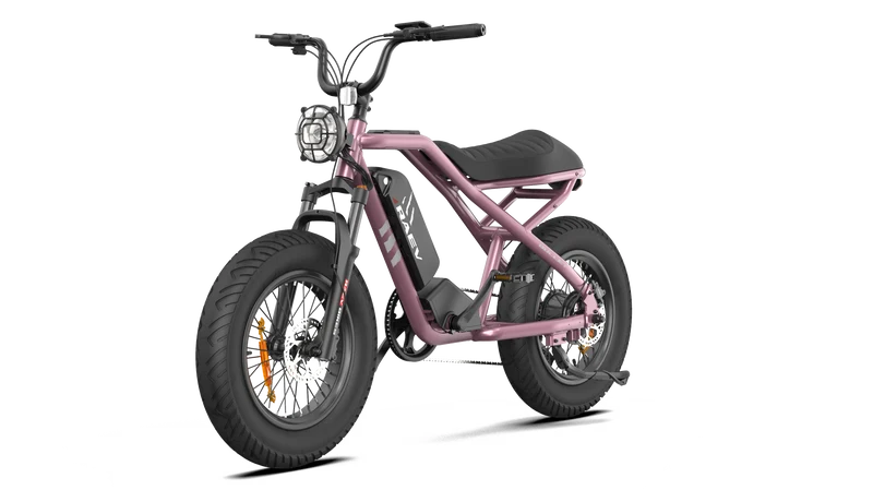 RAEV Bullet V2 Electric Bicycle