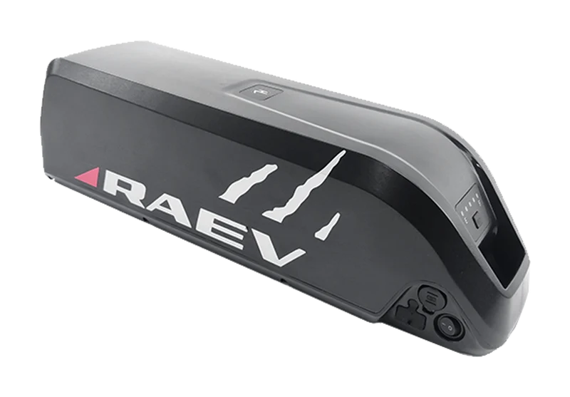 RAEV 48V 13Ah Battery