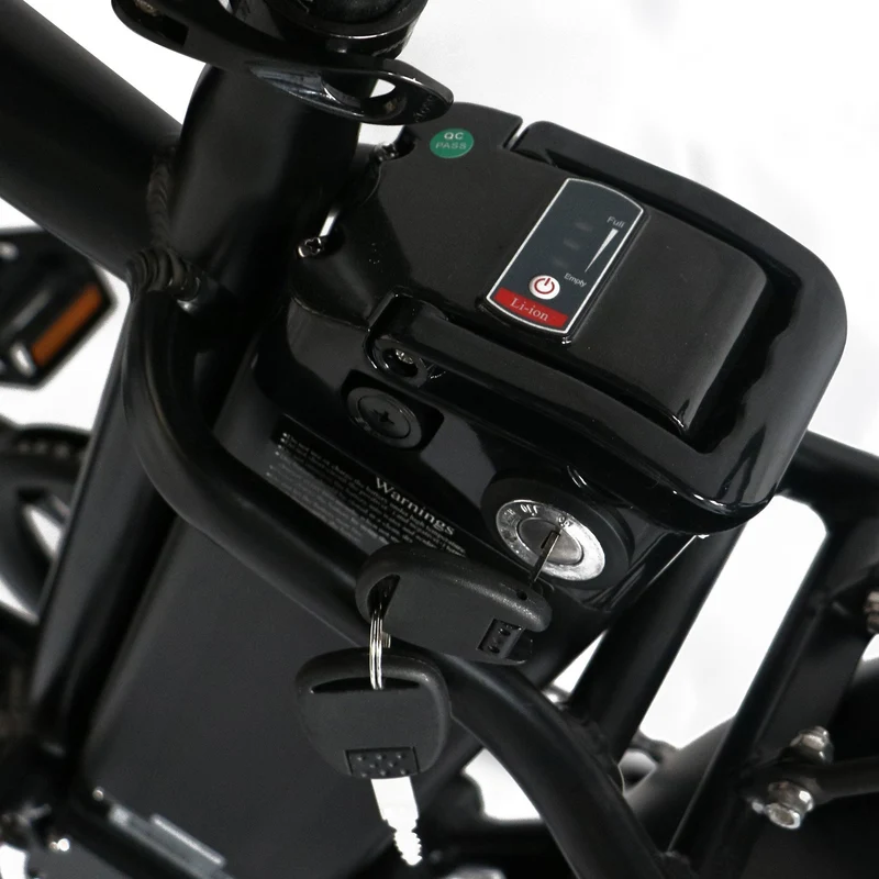 Coastal Cruisers Step Over 24x3 - 52v Beach Cruiser Electric Bike