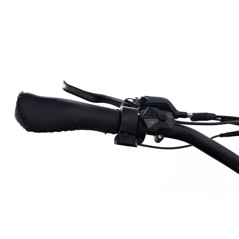 Coastal Cruisers Step Over 24x3 - 52v Beach Cruiser Electric Bike