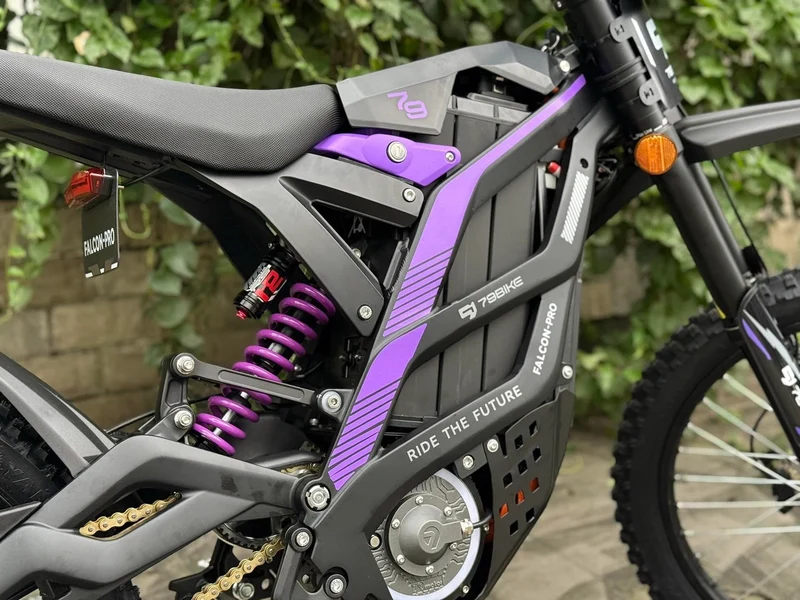 79BIKE Falcon Pro