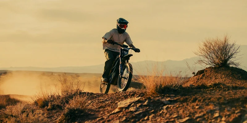 79BIKE Falcon Pro