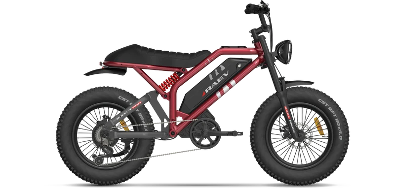RAEV Bullet Pro E-Bike