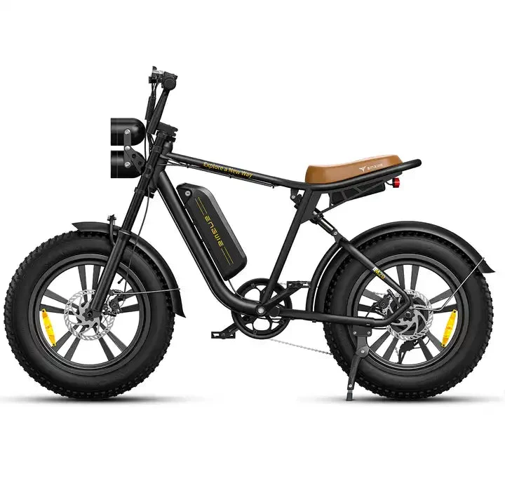 ENGWE M20