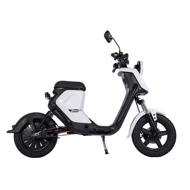 BEZIOR XIAONIU B 20" Elektromotorrad 1500W Motor 48V 20Ah Batterie