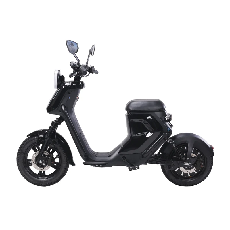 BEZIOR XIAONIU B 20" Elektromotorrad 1500W Motor 48V 20Ah Batterie