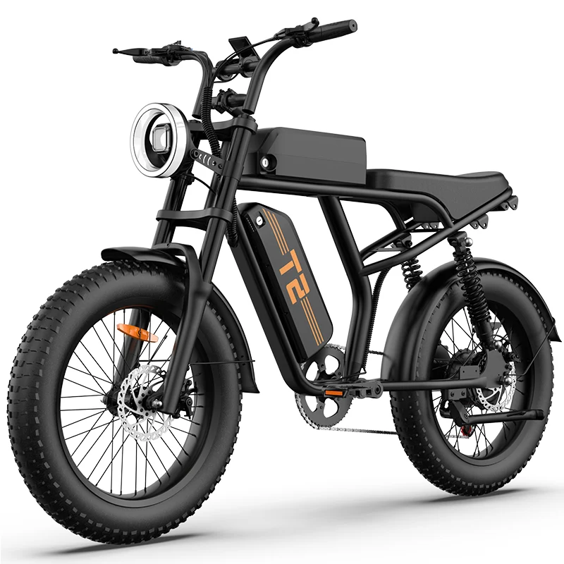 URLIFE T2 20" Off-Road Elektrofahrrad 250W Motor 48V 15.6Ah Batterie