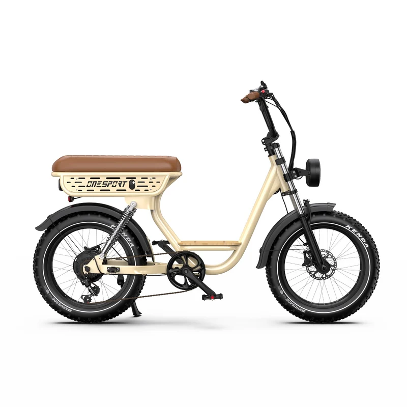 ONESPORT W77 20" Retro-Elektro-Fahrrad 500W Motor 48V 18Ah Batterie