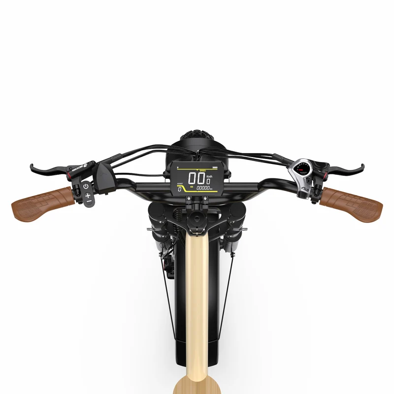 ONESPORT W77 20" Retro-Elektro-Fahrrad 500W Motor 48V 18Ah Batterie