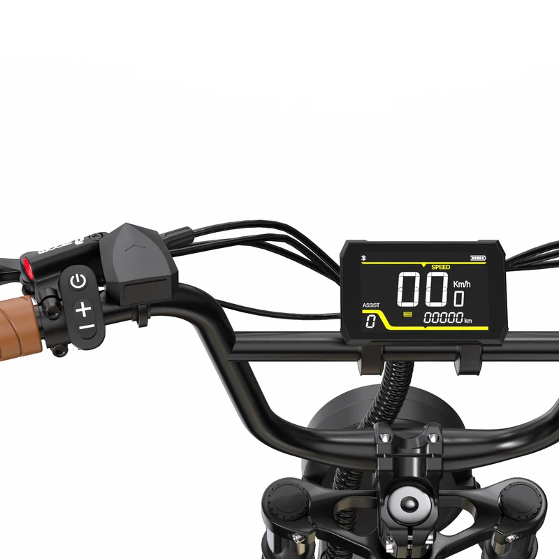 ONESPORT W77 20" Retro-Elektro-Fahrrad 500W Motor 48V 18Ah Batterie