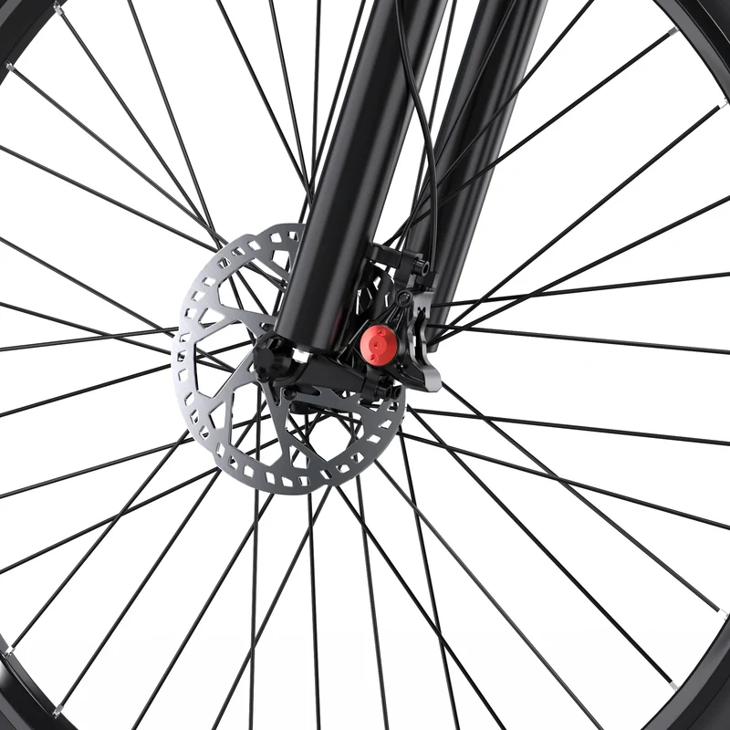 DUOTTS C29-L 29" Elektrisches Mountainbike 750W Motor 48V 15Ah Batterie