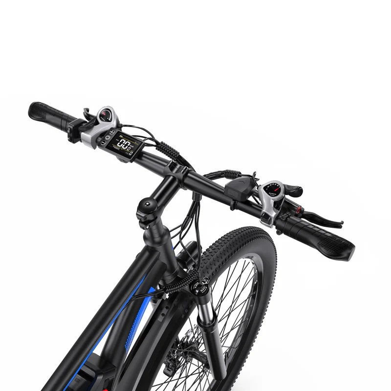 DUOTTS C29-L 29" Elektrisches Mountainbike 750W Motor 48V 15Ah Batterie