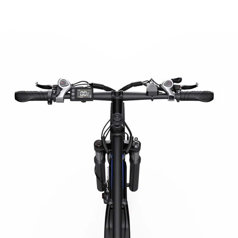 DUOTTS C29-L 29" Elektrisches Mountainbike 750W Motor 48V 15Ah Batterie