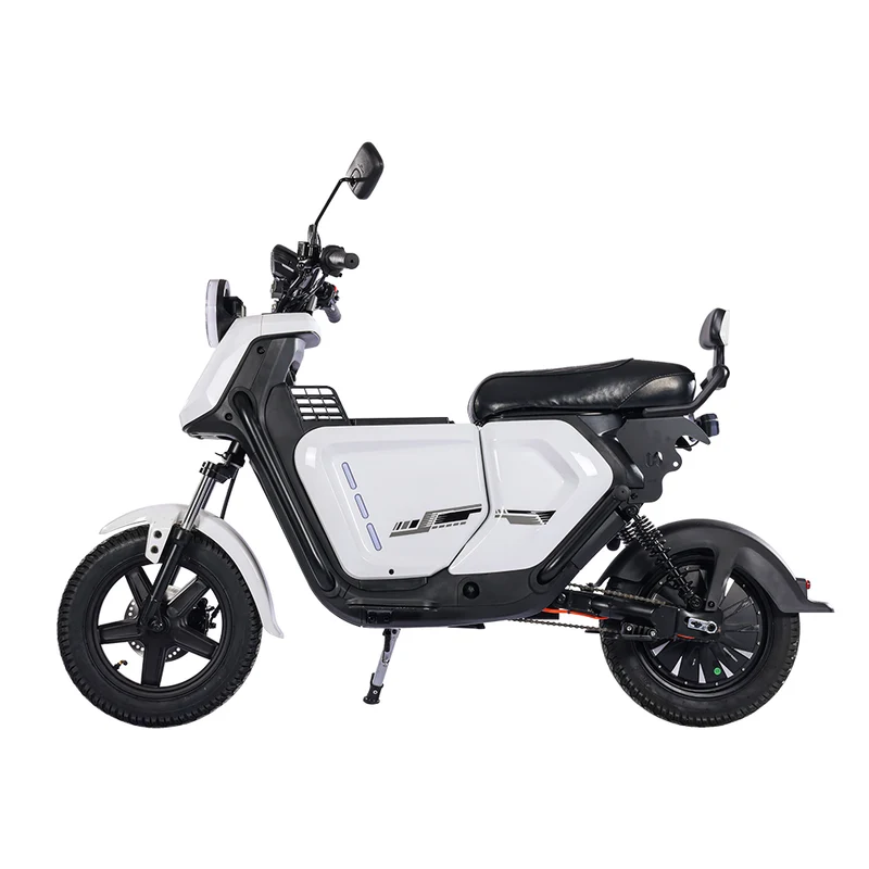 BEZIOR XIAONIU A 12" Elektromotorrad 1500W Motor 48V 20Ah Batterie