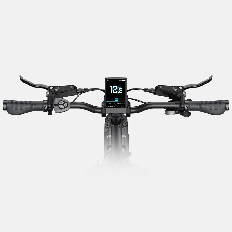 ENGWE L20 3.0 Pro 20" Tiefeinsteiger-Elektrofahrrad 250W Motor 48V 15Ah Batterie