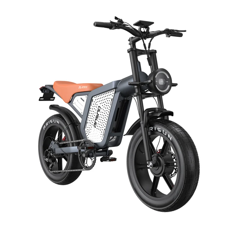 JANSNO X60G 20" Fat Tires Elektrofahrräder 750W*2 Doppelmotor 48V 23Ah Batterie
