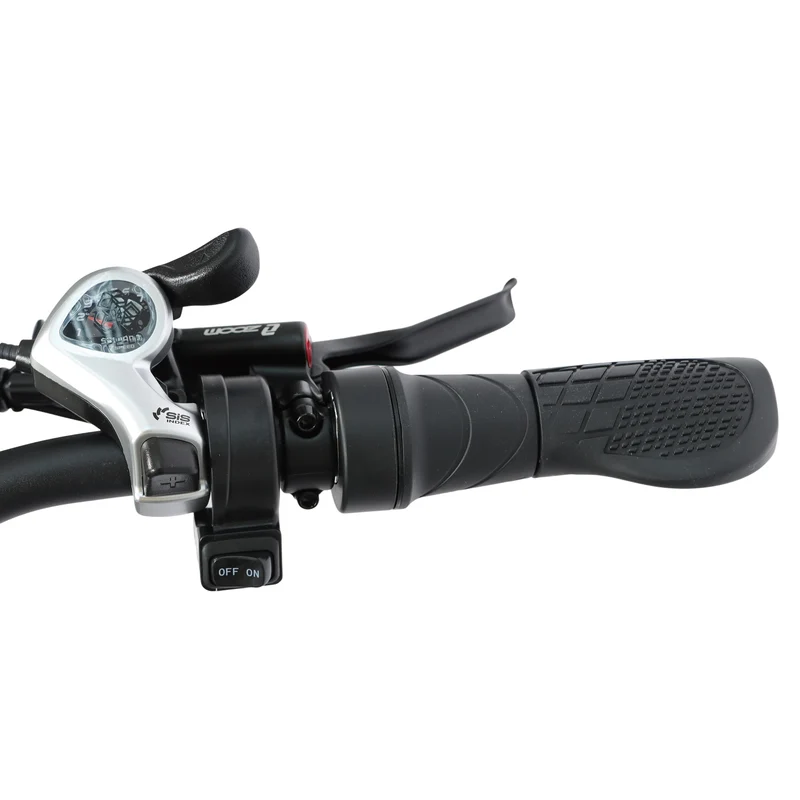 BAOLUJIE DP-2602 26" Fatbike-Elektrofahrrad 2000W Motor 48V 23Ah Batterie