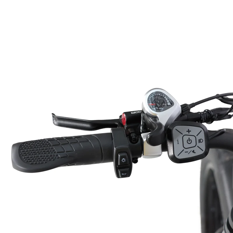 BAOLUJIE DP-2602 26" Fatbike-Elektrofahrrad 2000W Motor 48V 23Ah Batterie