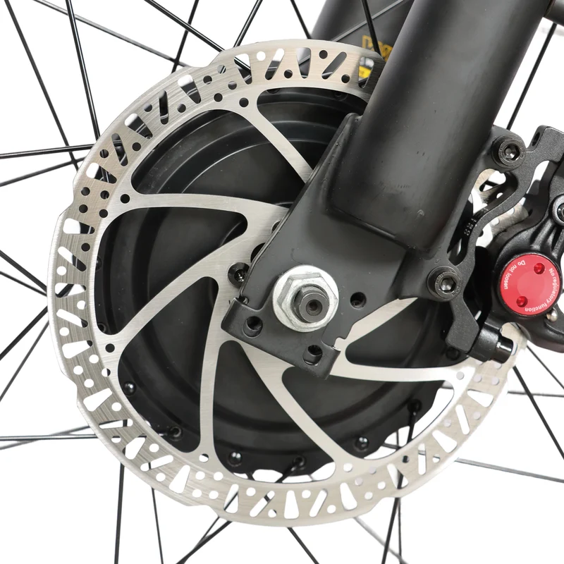 BAOLUJIE DP-2602 26" Fatbike-Elektrofahrrad 2000W Motor 48V 23Ah Batterie