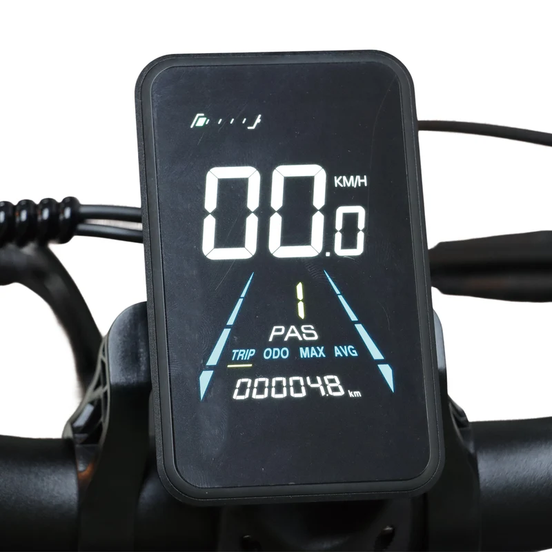 BAOLUJIE DP-2602 26" Fatbike-Elektrofahrrad 2000W Motor 48V 23Ah Batterie